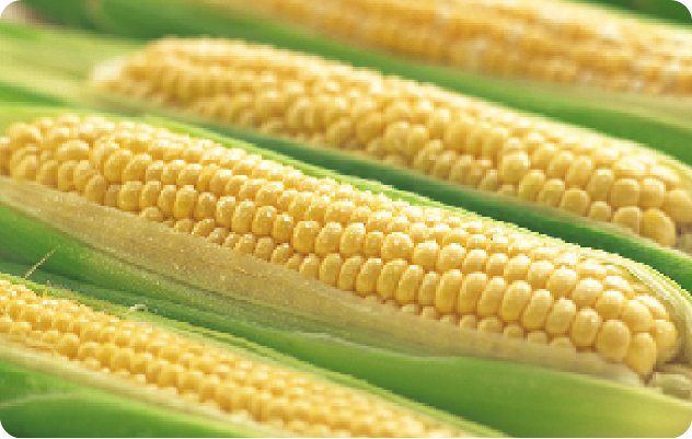 座談会のイメージ写真