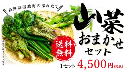sansai_2025